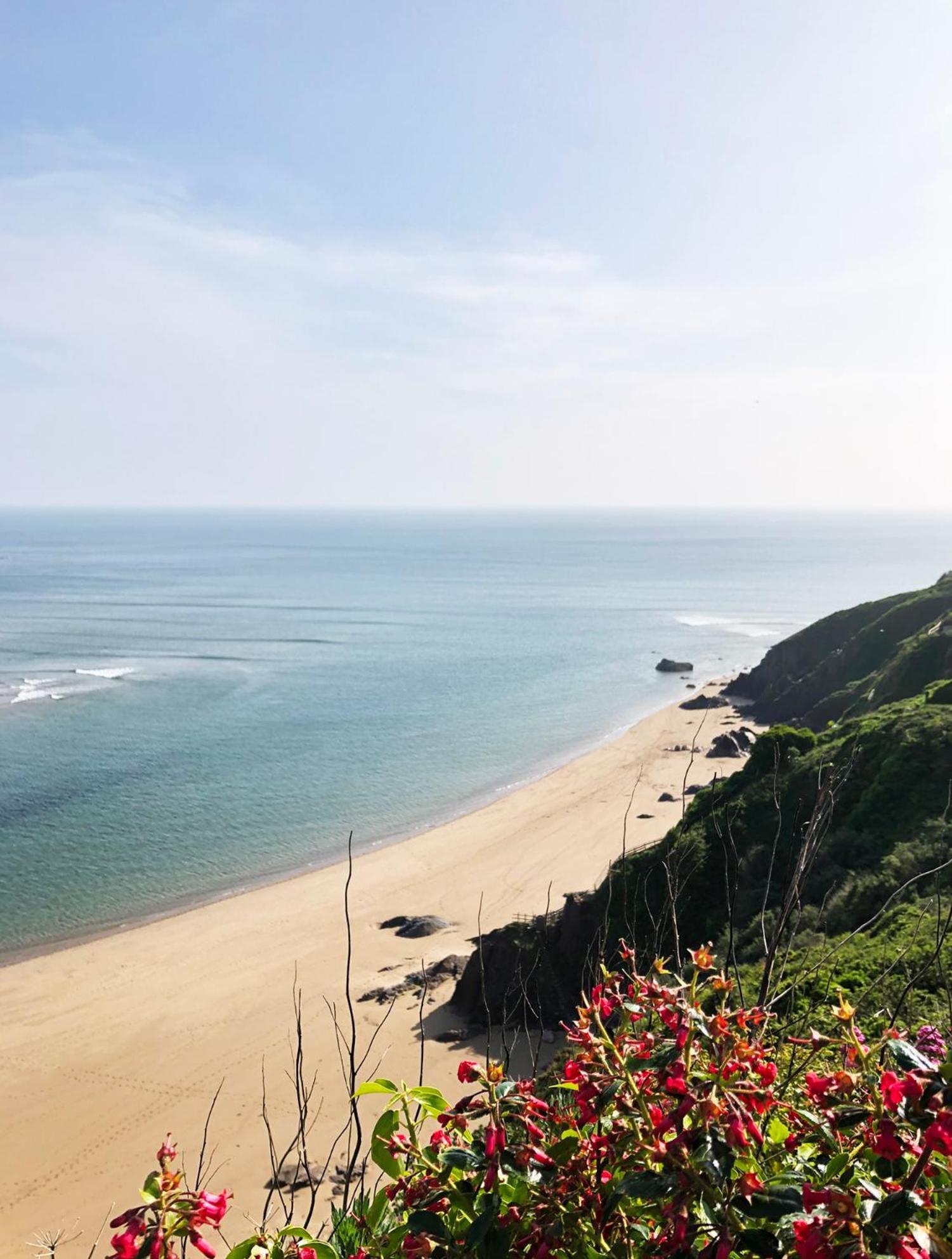 Cosy Beachside Cottage Bigbury المظهر الخارجي الصورة